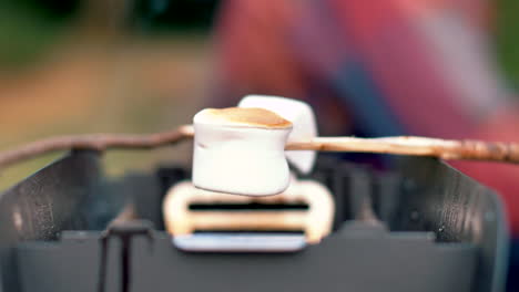 warming up a delicious marshmallow on a wooden stick above a grill