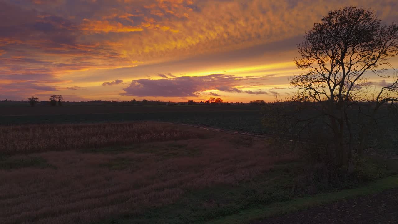 Atmospheric summer autumn sunset with waving wild grass in sunlight, rural meadow or field in countryside. Rural countryside scene, summer agriculture theme