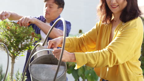 Mature-Asian-woman-waters-plants-in-summer-garden-using-watering-can-whilst-her-husband-prunes-shrubs-with-secateurs-with-focus-on-background--shot-in-slow-motion