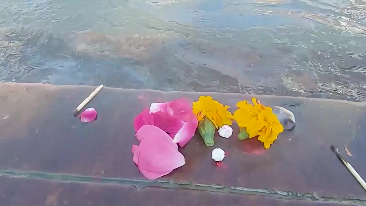Pemuja mempersembahkan bunga untuk sungai suci Gangga di pagi hari, video diambil di Haridwar, Uttarakhand, India