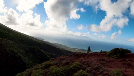 from the top, enjoy a stunning aerial view of a verdant mountain valley on molokai, with a picturesque path cutting through lush vegetation and leading down to the blue ocean in the background