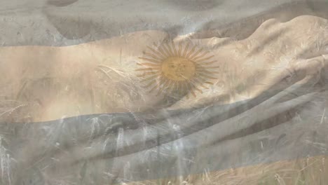 Digital-composition-of-waving-argentina-flag-against-close-up-of-crops-in-farm-field