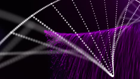 animation of dna strand spinning with purple light trails over black background
