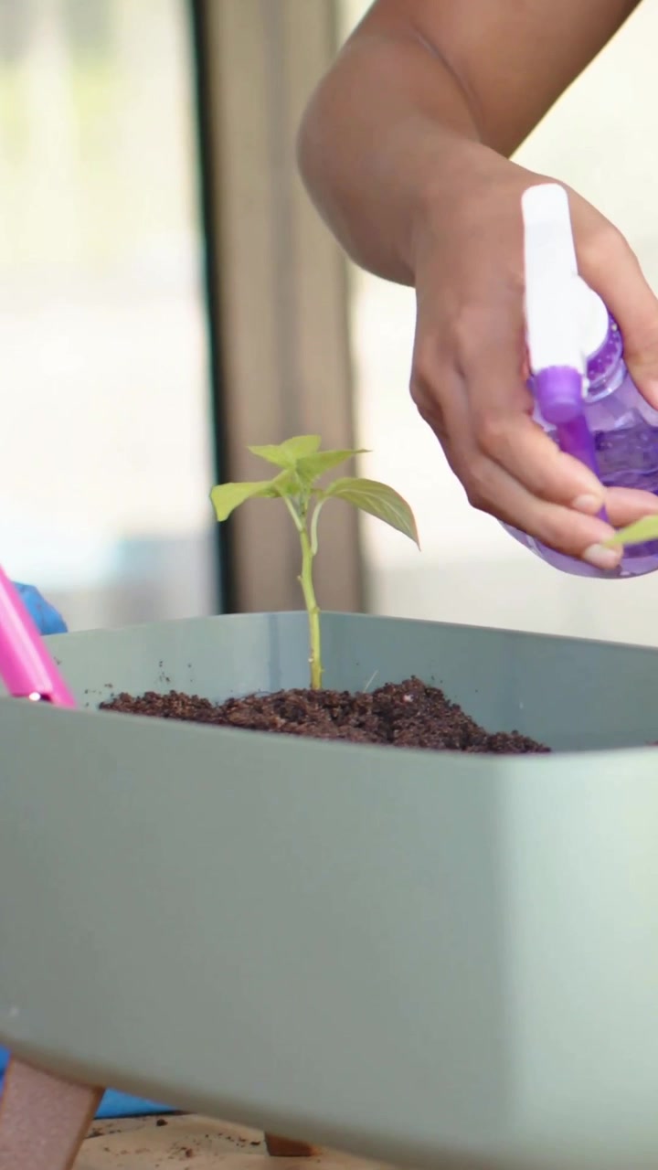 Video verticale: Braccio di bambino che entra in scena, tiene uno spruzzino viola, nebulizza piantine sul balcone con una paletta.