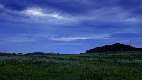 Rural-settlement-in-the-meadow-covered-with-white-wild-flowers-in-cloudy-bright-Nordic-summer-night