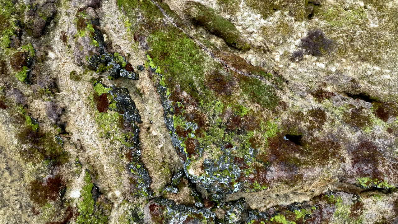 Top down drone shot over mossy and rocky surface with snow, spring day in Iceland