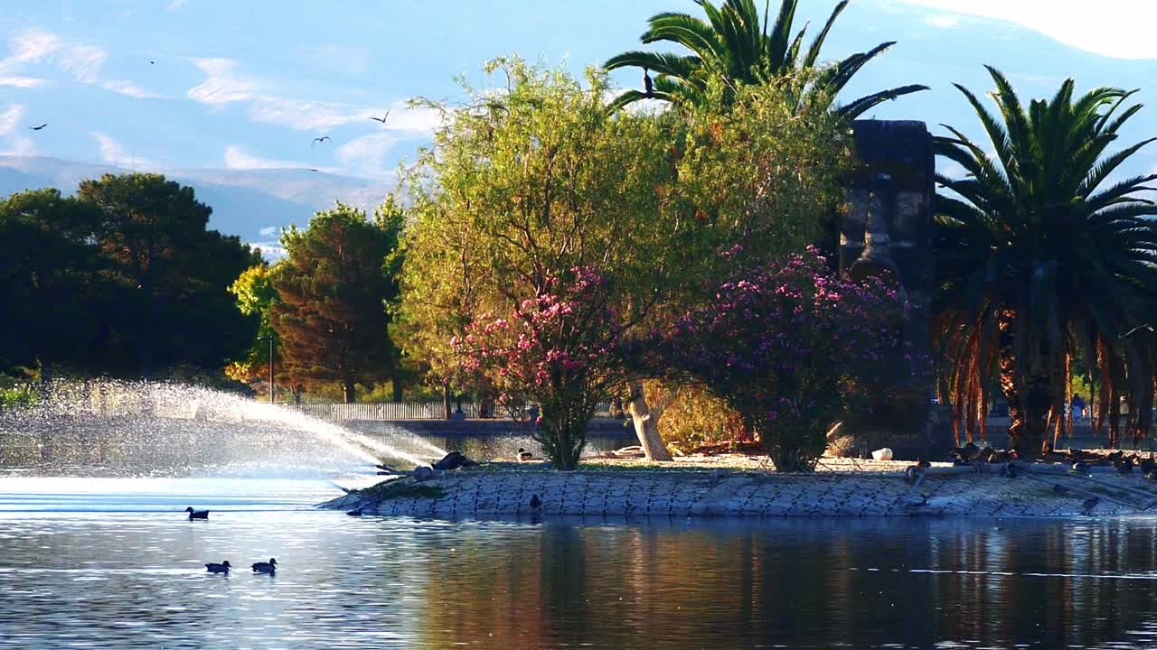Scena di parco sereno con anatre e fontana