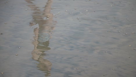 Reflejo-De-Una-Adolescente-Caminando-Sobre-La-Arena-En-La-Playa-Hacia-El-Océano,-Mientras-Se-Inclina-Para-Recoger-Conchas-Marinas