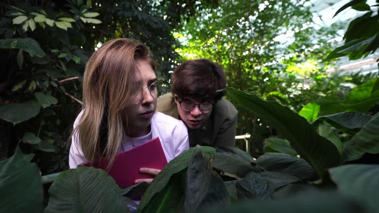 científicos examinando plantas en un invernadero