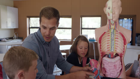 male teacher teaching human anatomy in the class