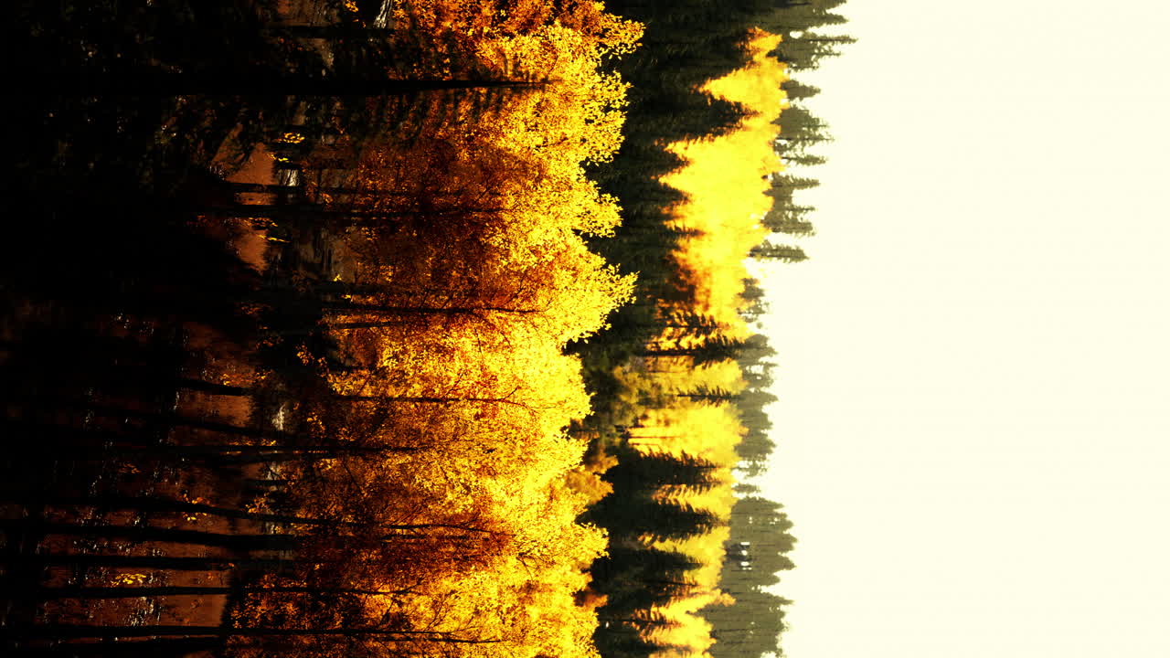 paisaje de bosque de otoño