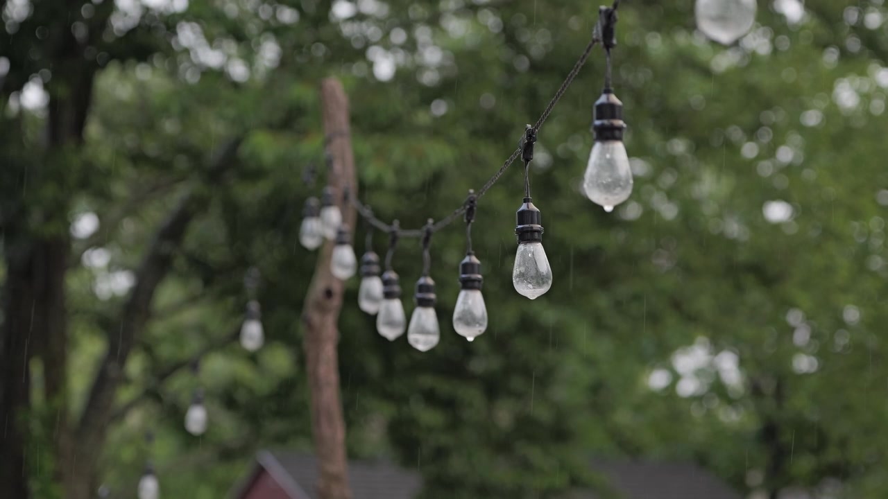 Tetesan hujan menempel pada lampu tali luar ruangan dengan latar belakang hutan lebat. Ideal untuk digunakan dalam konten terkait cuaca atau tema dekorasi luar ruangan.
