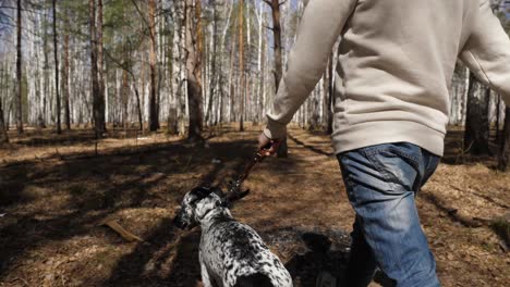 man walking a dog in the forest