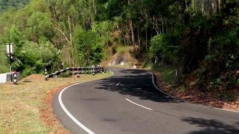 isolated mountain curvy tarmac road with green forests