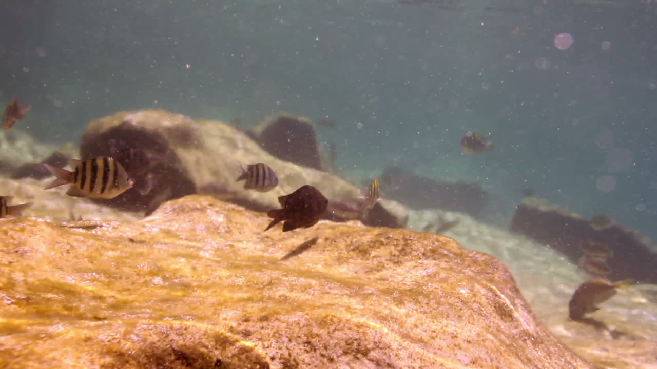 Snorkel Park 11