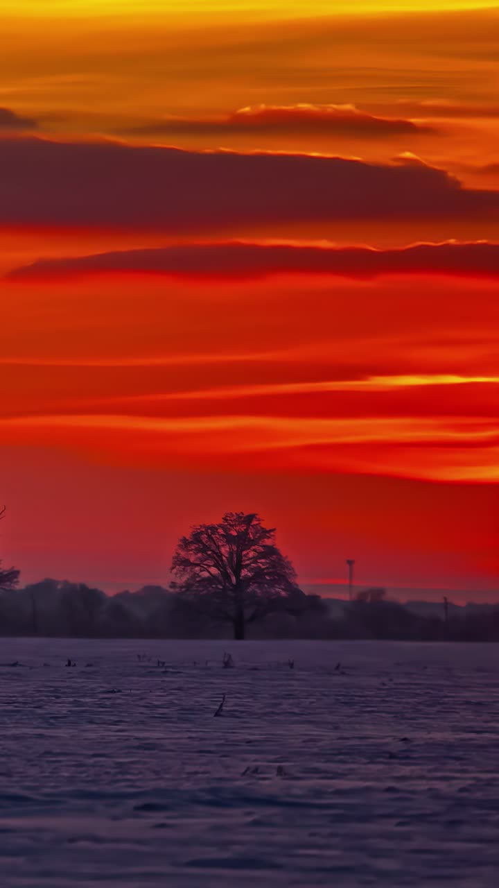 Orange Sky With Big Sun Going Down - Sunset Sundown Timelapse