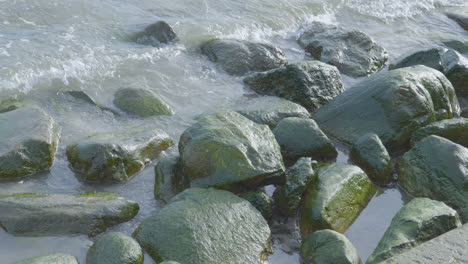 Calm-Waves-Over-Mossy-Rocks.-Close-Up
