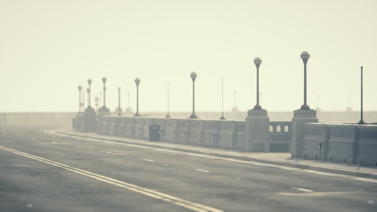 램프 기둥 이 있는  비어 있는 안개 가득 한 거리