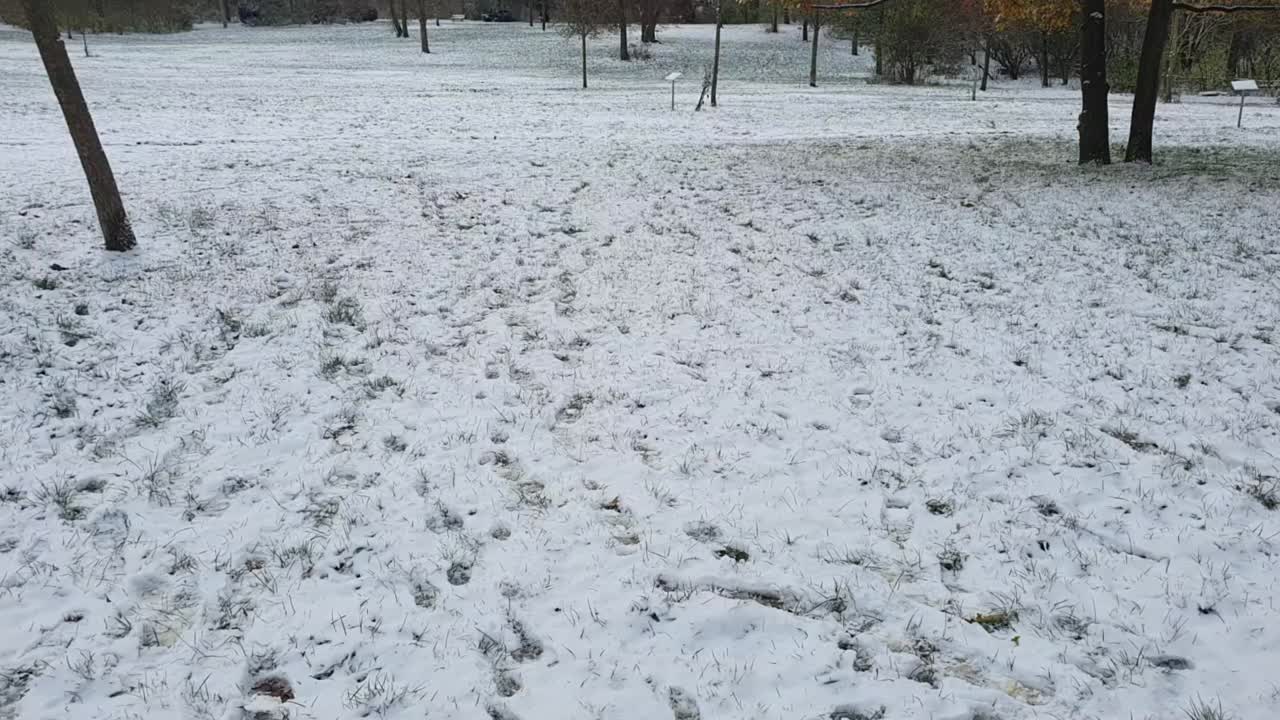 눈으로  ⁇ 인 공원 베를린 겨울에 공원 hasenheinde hd 30 fps 6 초
