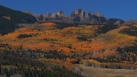 crested butte aspen trees fall autumn auburn full peak colors castle mountain aerial drone colorado ohio kebler swampy pass gunnison national forest morning sunny blue sky upward motion