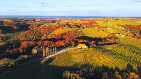 stunning aerial 4k drone footage of vineyard cottage malek - jeruzalem, slovenia filmed in the golden hour sunset - fall, autumn