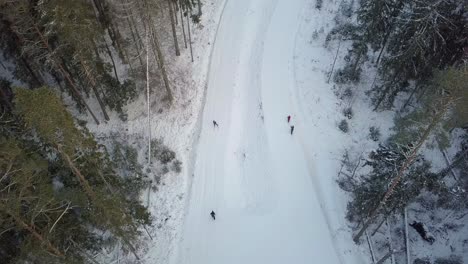 People-Skiing-And-Enjoying-Snowy-Trail-Between-Woodland-Of-Smiltene-At-Winter-In-Latvia,-Europe---aerial