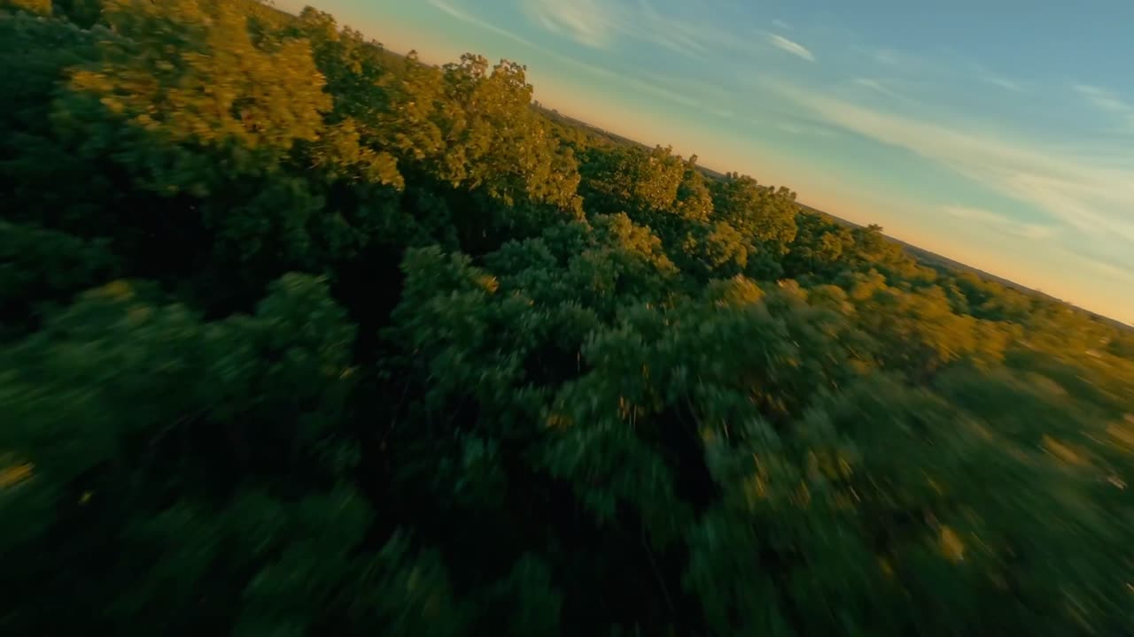 fpv 무인 항공기는 공원에서 미친 듯이 기동