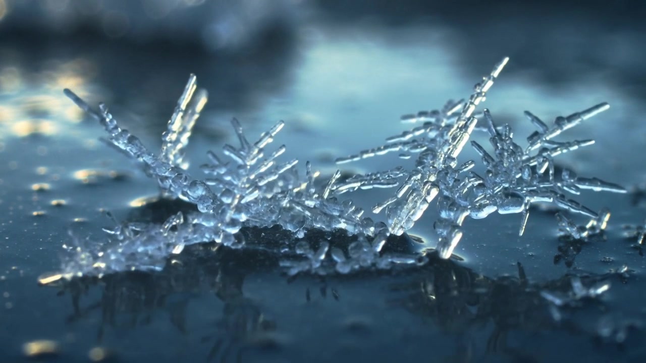 Formazione di un grappolo di cristalli di ghiaccio centrato che si allunga e si ramifica su una pellicola riflettente fredda dopo il raffreddamento.