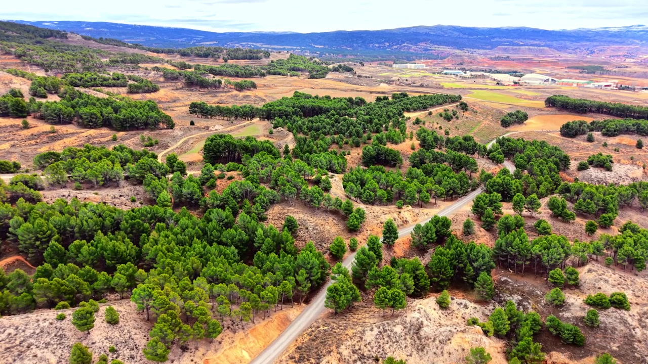 Strada asfaltata che curva attraverso una verde pineta e un paesaggio collinare di argilla rossa sotto un cielo luminoso. Vista aerea di una strada tortuosa attraverso colline boscose di pini.