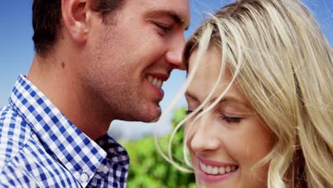 primer plano de una pareja afectuosa en el viñedo