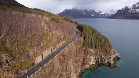 viaje por carretera noruego a través de los fiordos con montañas cubiertas de nieve y árboles rodeados de agua disparado en mavic dji air 2s drone