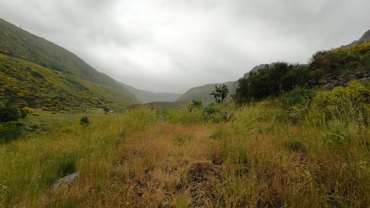 구름 은 날 잎 사이 의 산 을 산책 하는 것