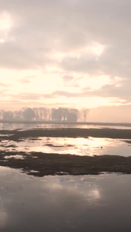 el amanecer brumoso sobre un pantano