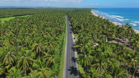 drone flying over panoramic coastal road between palms along ocean near nagua, maria trinidad sanchez in dominican republic. aerial backward