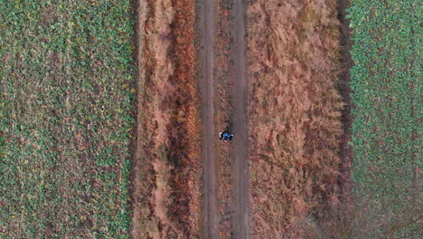 colorful dressed person run between brown fields on ground path