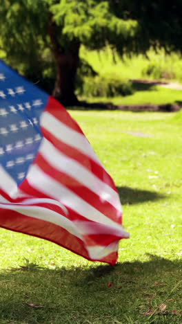 little siblings with american flag