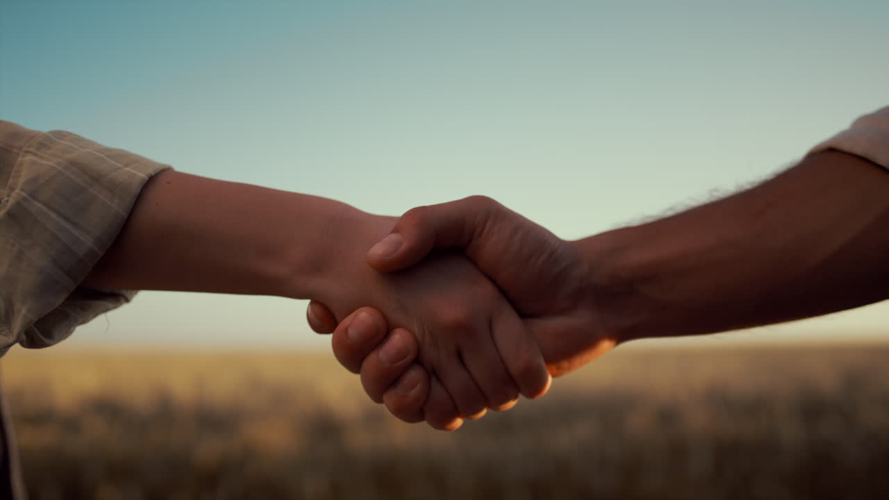 Farmers shake hands at golden harvest field closeup. Agribusiness partners deal.