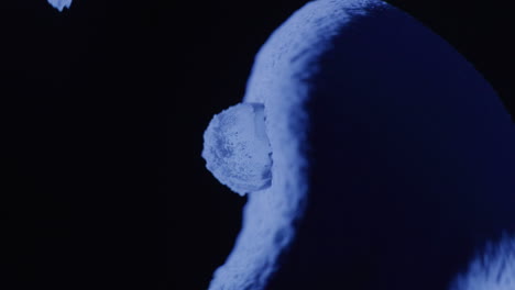 abstract blue forms