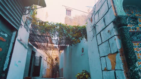 muy hermoso callejón entre las casas de la casbah de argel en un día soleado con un cielo azul