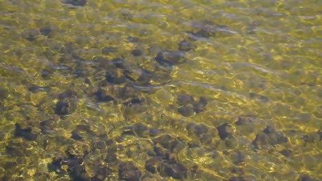 water-with-rocks-top-view-with-sunlit-pattern-waves-background