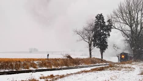 a man walking his dogs by a rail road track as a steam engine approaches in a snow storm