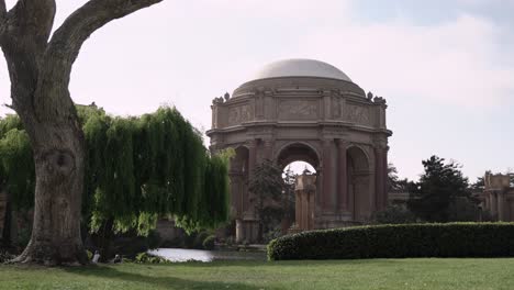 scenic view of an art museum in san francisco, california