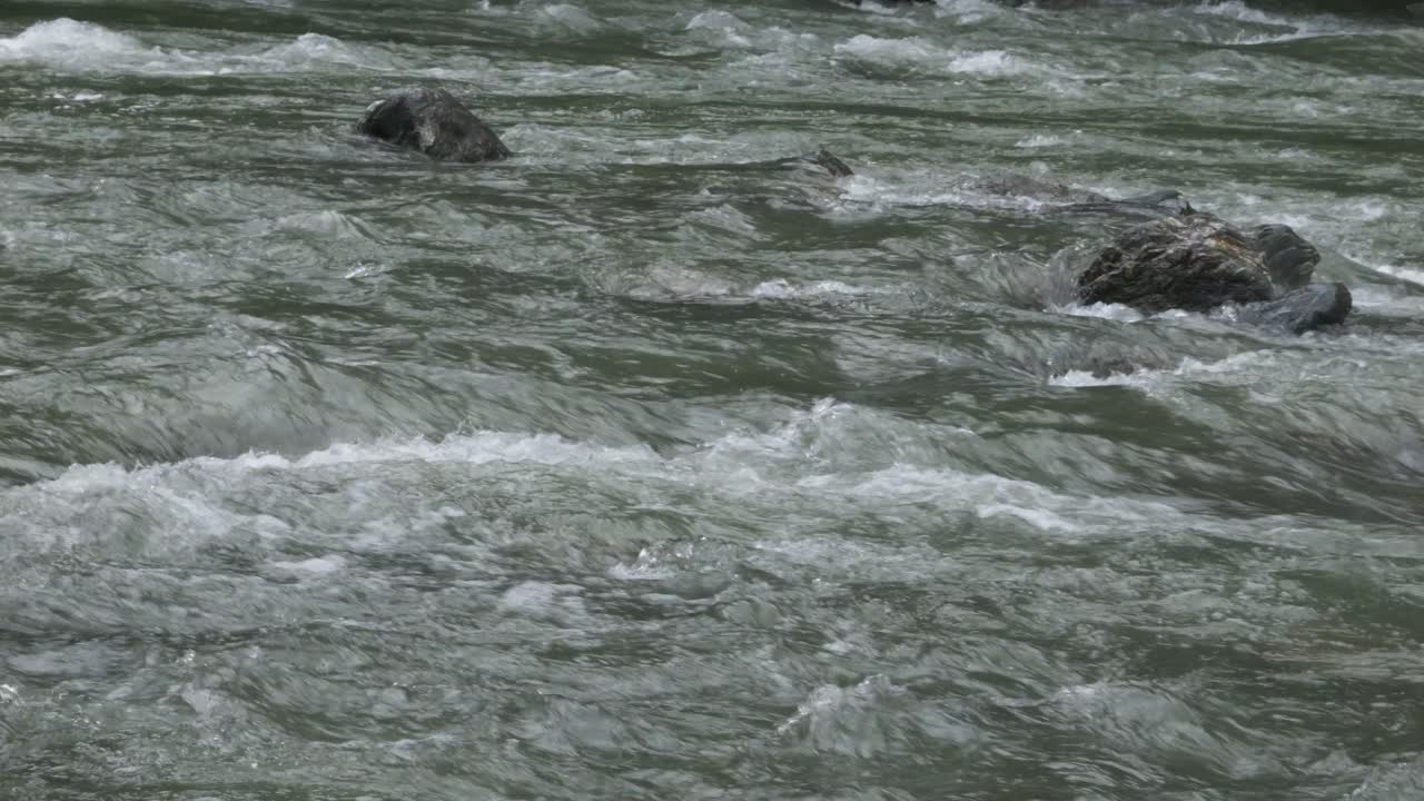 Mountain River Flowing Through Stone Rapids In Haast, New Zealand - Wide Shot