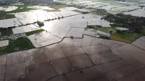 Aerial-reflection-on-water-at-paddy-field.