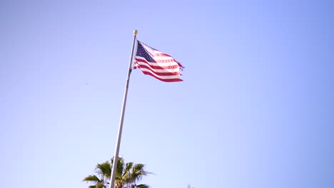 Bandera-De-Los-Estados-Unidos-Ondeando,-En-El-Fondo-Un-Cielo-Azul-Y-Una-Palmera