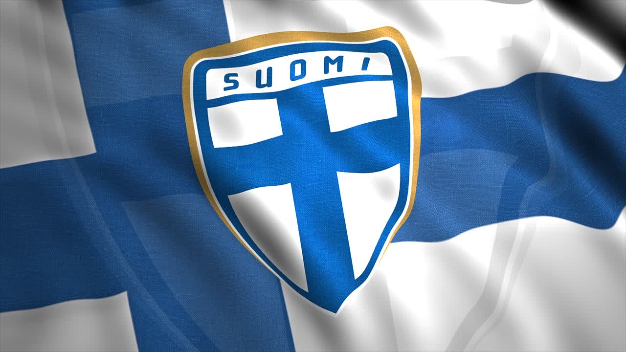 핀란드 발 세부 사항