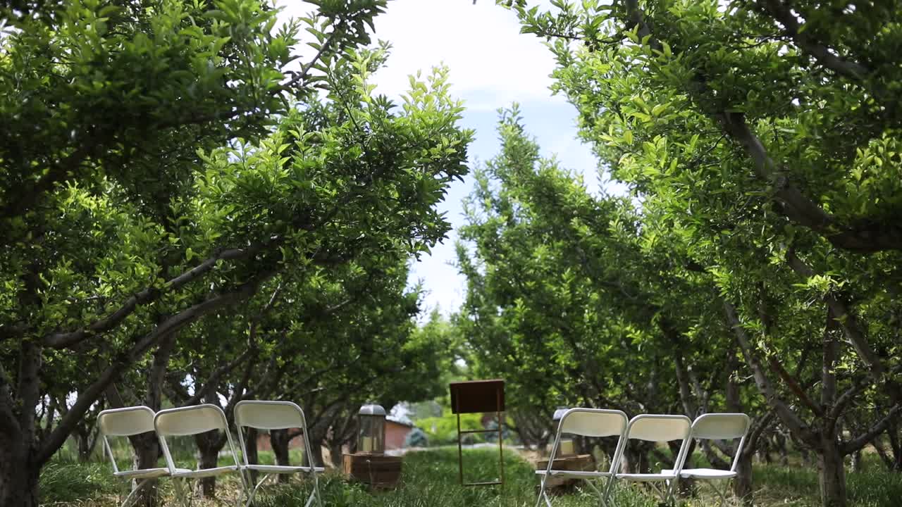 숨이 멎을 만큼 친밀한 야외 결혼식 장소, 틸트 다운 공개