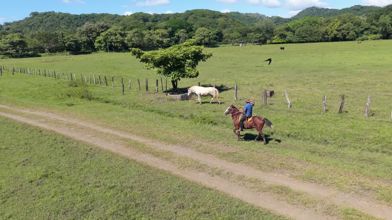 Homem montando a cavalo em estrada de terra através de pastagem verde