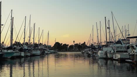 harbor with sailboats at dusk