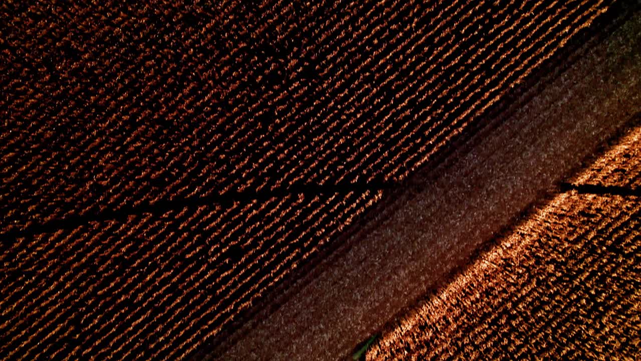 john deere 콤바인과 함께 아이오와의 가을 옥수수 수확